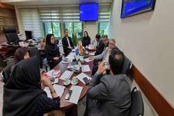 جلسه کمیته کارشناسان منتخب دانشگاه با حضور اعضای منتخب کمیته و کارشناسان تشکیل شد.